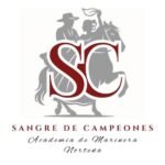 Ejercicios para practicar en casa lo aprendido en clases de marinera norteña