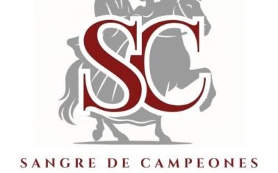 Técnicas avanzadas que perfeccionarás en clases de marinera norteña en Madrid