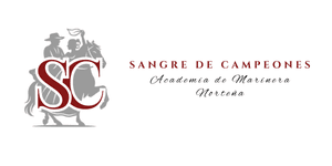 Academia de Marinera Norteña Sangre de Campeones - Madrid